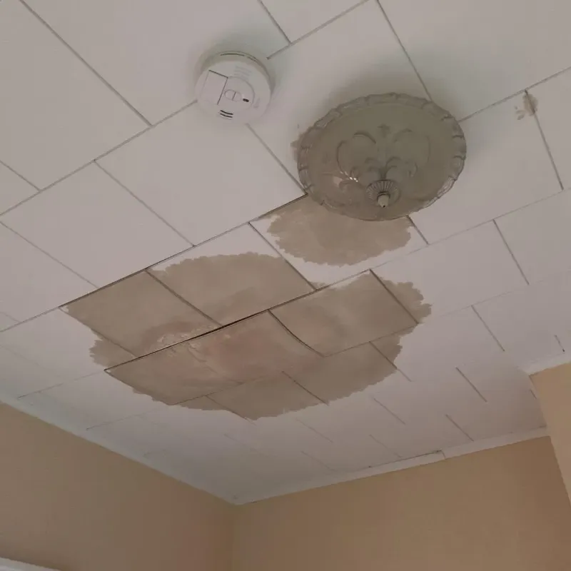 Ceiling Water Damage Repair in Paynesville, MN